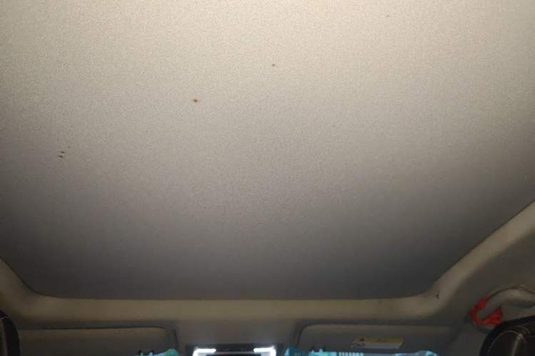 Used Buick LaCrosse 2019 28T Luxury Version Headliner