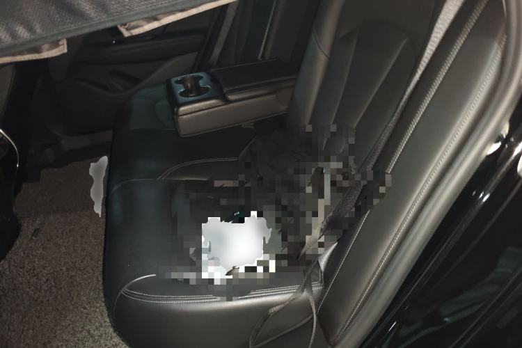 Used Buick LaCrosse 2019 28T Luxury Version Left Rear Seat