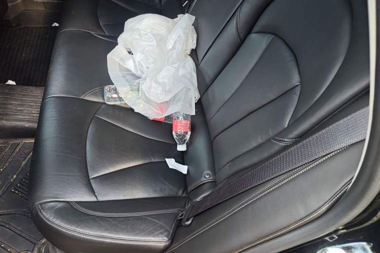 Used Buick LaCrosse 2019 28T Luxury Version Left Rear Seat