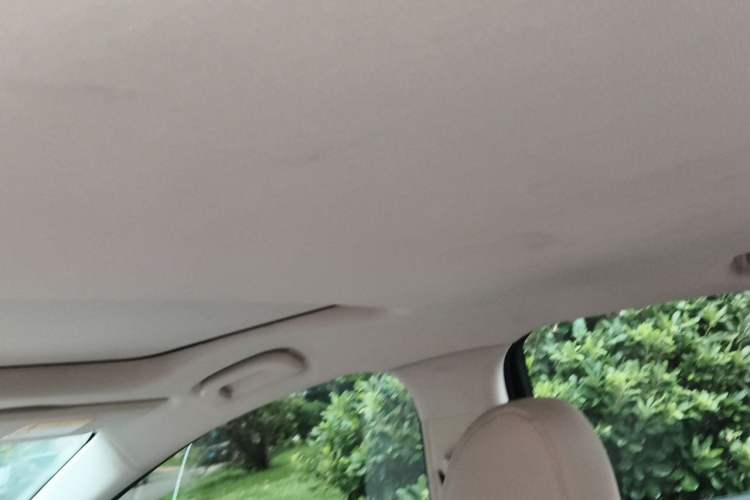 Used Buick LaCrosse 2019 28T Elite Edition Headliner