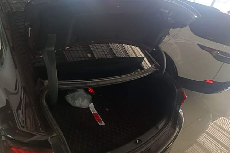 Used Buick LaCrosse 2019 28T Avenir Trunk