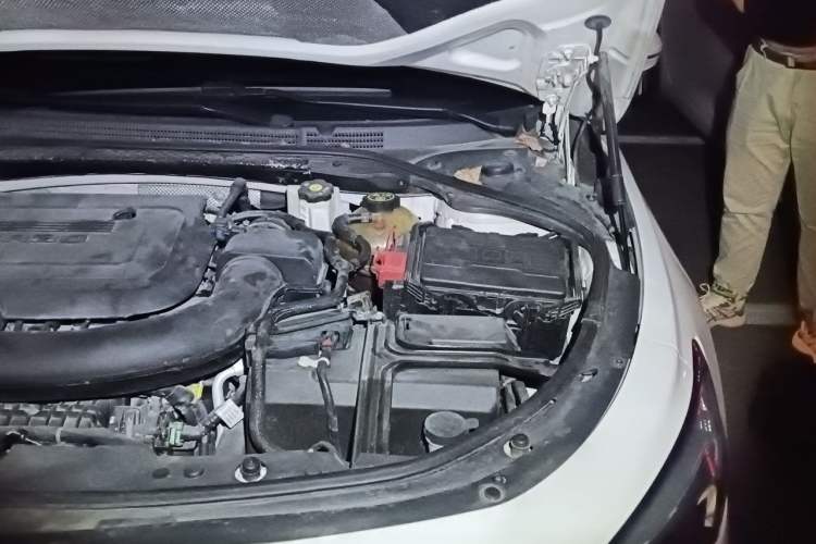 Used Buick LaCrosse 2019 28T Prestige Model Engine Bay Left