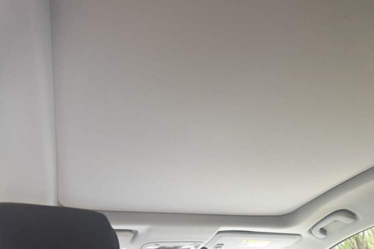 Used Buick LaCrosse 2020 652T Luxury Version Headliner