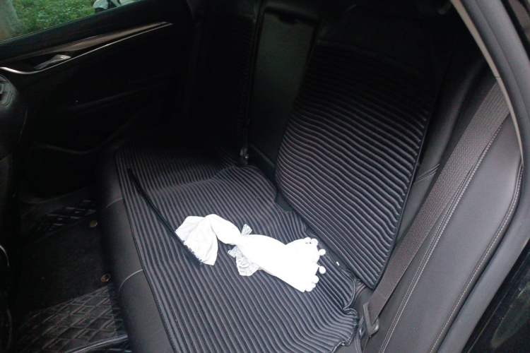 Used Buick LaCrosse 2020 652T Luxury Version Left Rear Seat