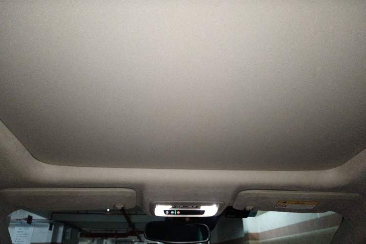 Used Buick LaCrosse 2020 Avenir Avia Flagship Model Headliner