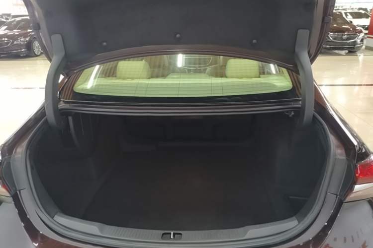 Used Buick LaCrosse 2020 Avenir Avia Flagship Model Trunk