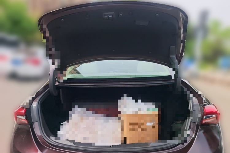 Used Buick LaCrosse 2020 Avenir Avia Flagship Model Trunk