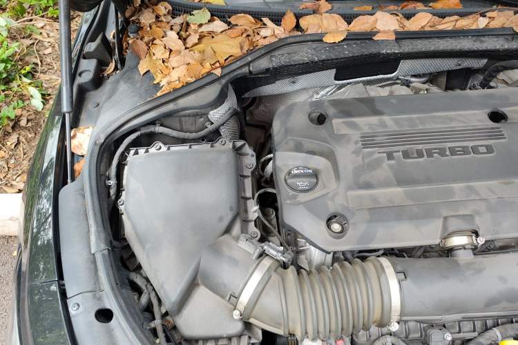 Used Buick LaCrosse 2021 652T Luxury Model Engine Bay Right