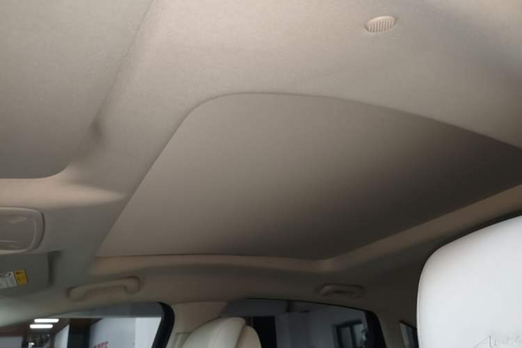 Used Buick LaCrosse 2021 Avenir Avia First-Edition Model Headliner