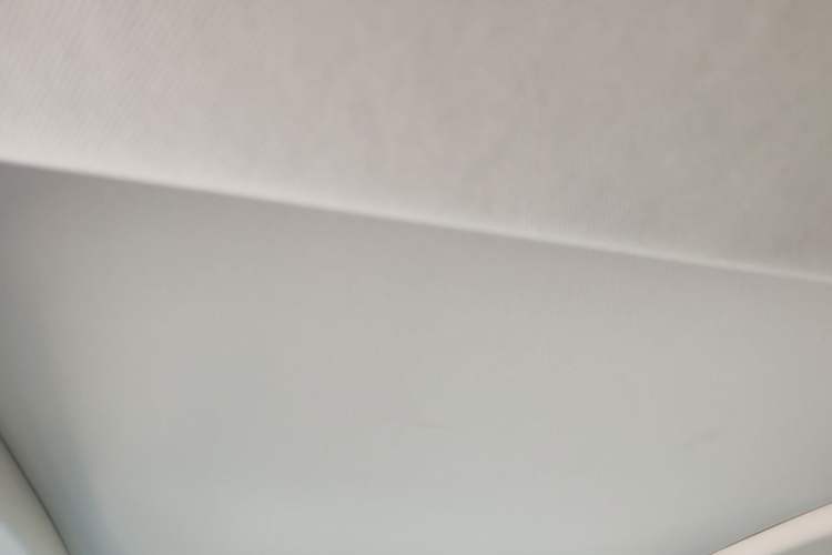 Used Buick LaCrosse 2021 Avenir Avia First-Edition Model Headliner