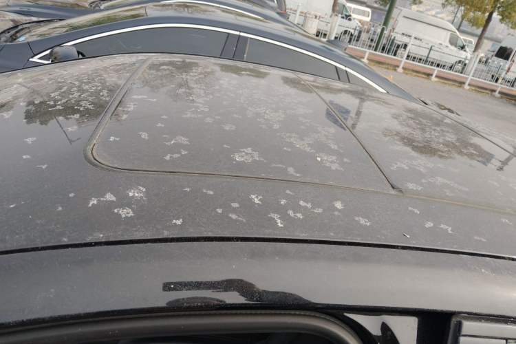 Used Buick LaCrosse 2021 652T Luxury Model Roof
