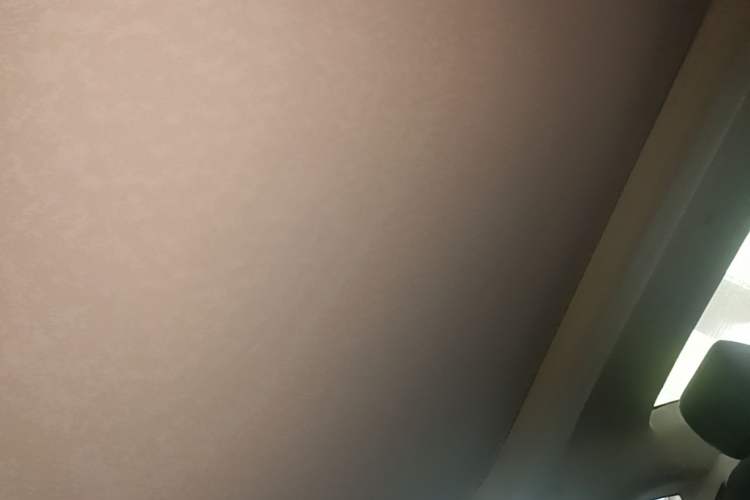 Used Buick LaCrosse 2021 652T Luxury Model Headliner