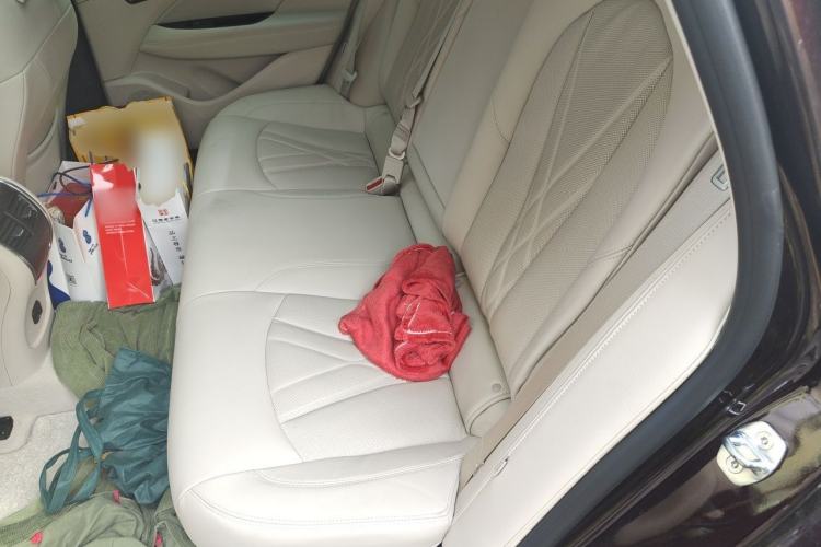 Used Buick LaCrosse 2021 Avenir Aivia Flagship Model Left Rear Seat