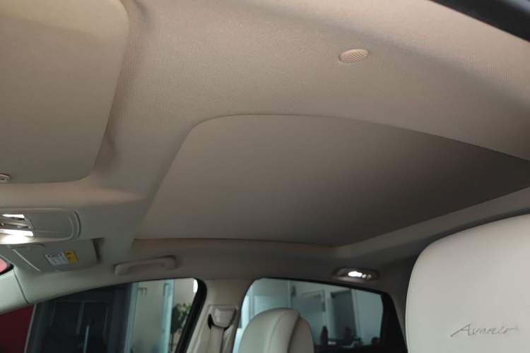 Used Buick LaCrosse 2021 Avenir Avia First-Edition Model Headliner