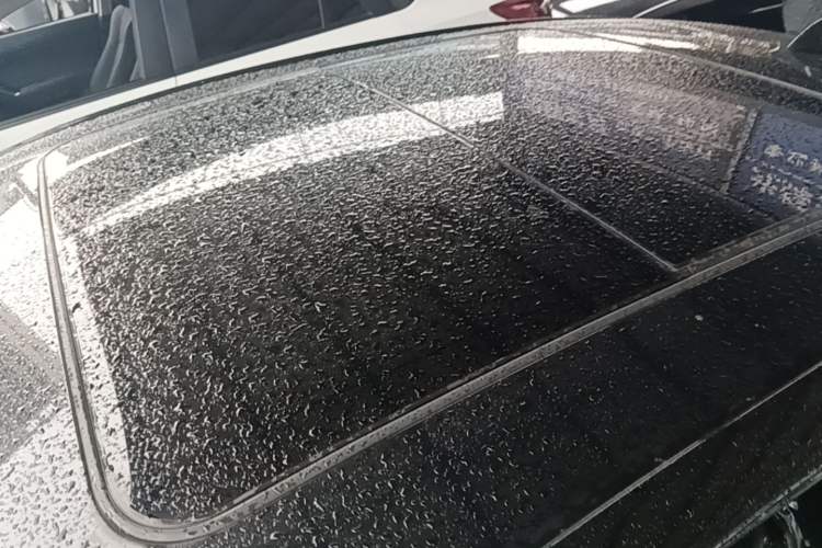 Used Buick LaCrosse 2023 Restyled 25T Cross-Country Edition Roof