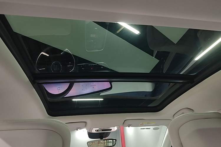 Used Buick LaCrosse 2023 Avia Edition Headliner