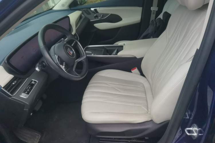 Used Buick LaCrosse 2023 Avia Edition Left Front Seat