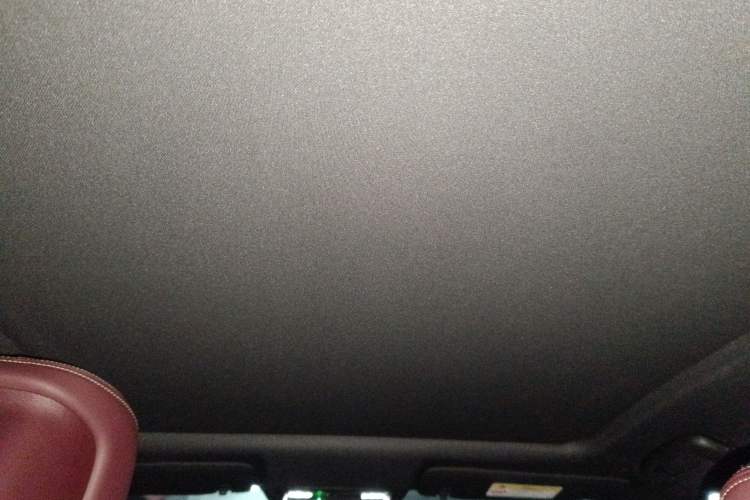 Used Buick LaCrosse 2024 28T Luxury Edition Headliner