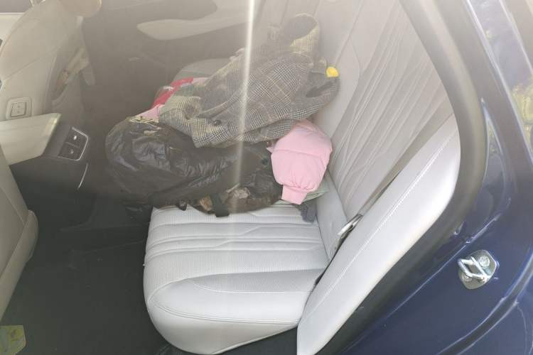Used Buick LaCrosse 2024 Avia Edition Left Rear Seat