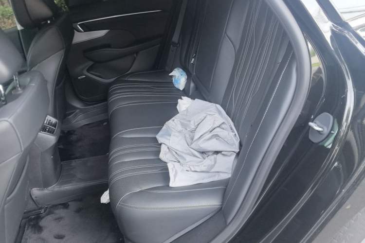 Used Buick LaCrosse 2025 Platinum Avia Edition Left Rear Seat