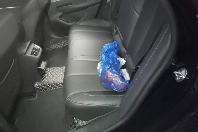 Used Buick LaCrosse 2025 28T Platinum Edition Left Rear Seat