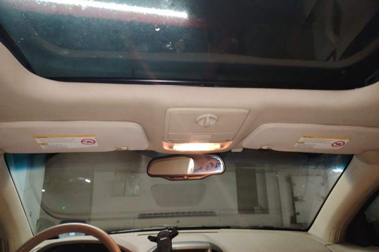 Used Buick Park Avenue 2011 Bao'ao Forum Commemorative Edition Headliner
