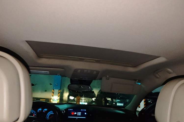 Used Buick Regal 2009 2.0L Elite Edition Headliner