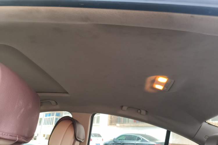 Used Buick Regal 2009 2.0L Elite Edition Headliner