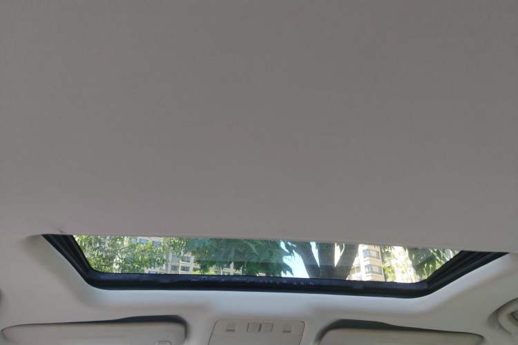 Used Buick Regal 2010 2.0L Expo Edition Headliner