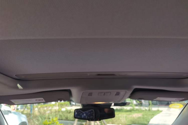 Used Buick Regal 2010 1.6T Elite Sport Edition Headliner