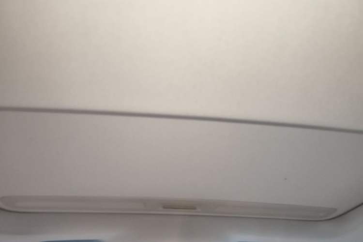 Used Buick Regal 2010 2.0L Expo Edition Headliner