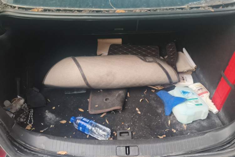 Used Buick Regal 2010 2.0L Expo Edition Trunk