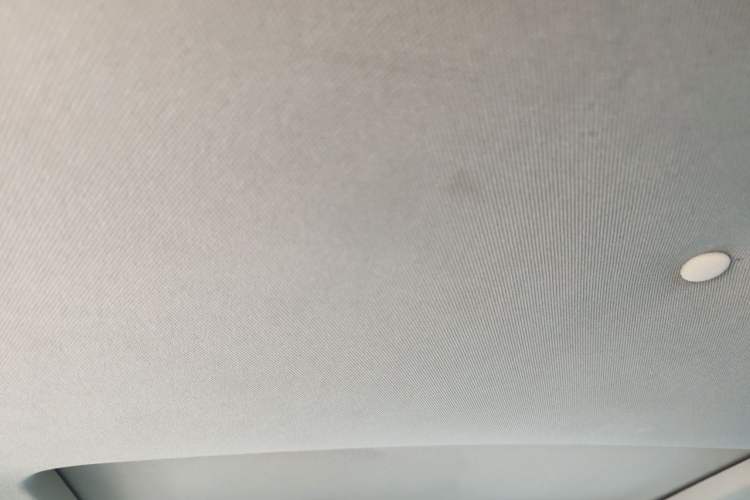 Used Buick Regal 2010 2.0L Expo Edition Headliner