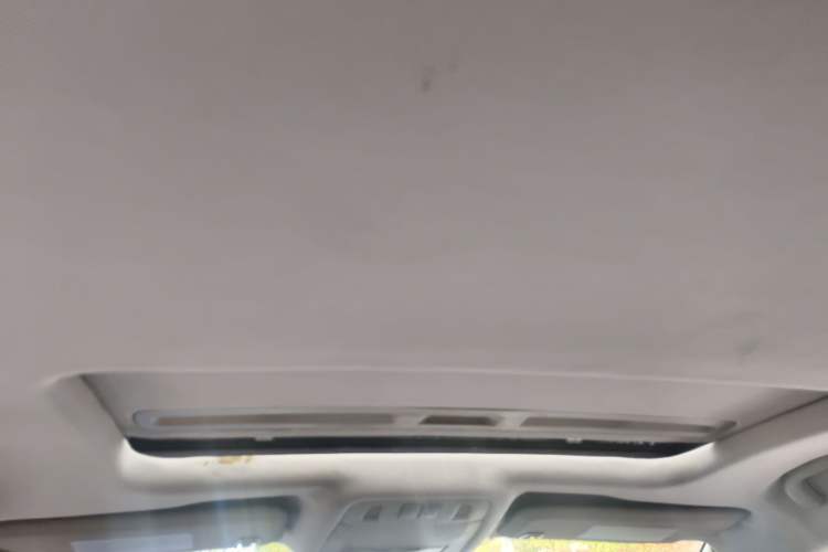 Used Buick Regal 2010 2.0T Flagship Sport Edition Headliner