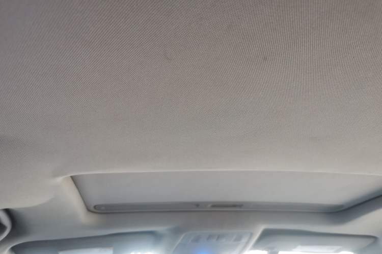 Used Buick Regal 2010 2.0T Flagship Sport Edition Headliner