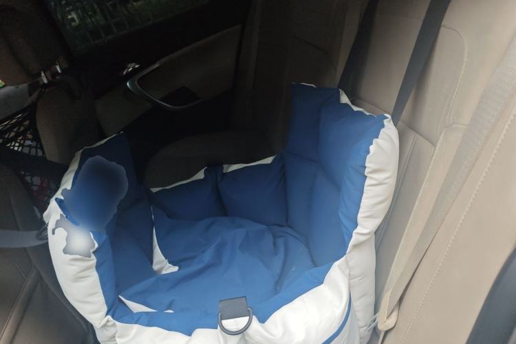 Used Buick Regal 2010 2.0L Expo Edition Left Rear Seat