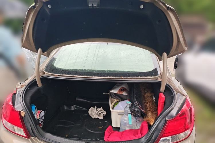 Used Buick Regal 2010 2.0L Expo Edition Trunk