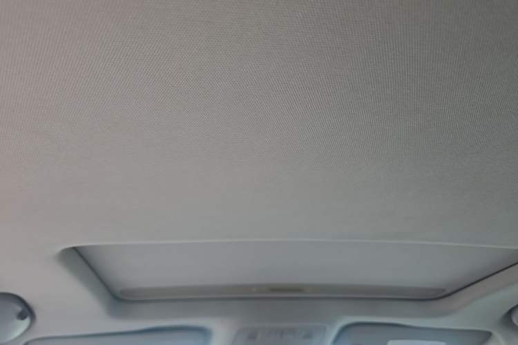 Used Buick Regal 2012 GS 2.0T Super Sport Edition Headliner