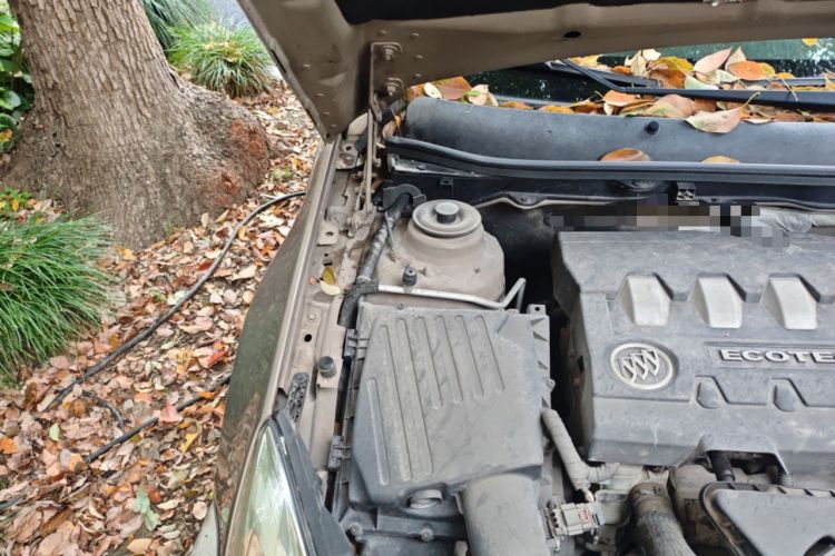 Used Buick Regal 2012 2.4L SIDI Elite Edition Engine Bay Right