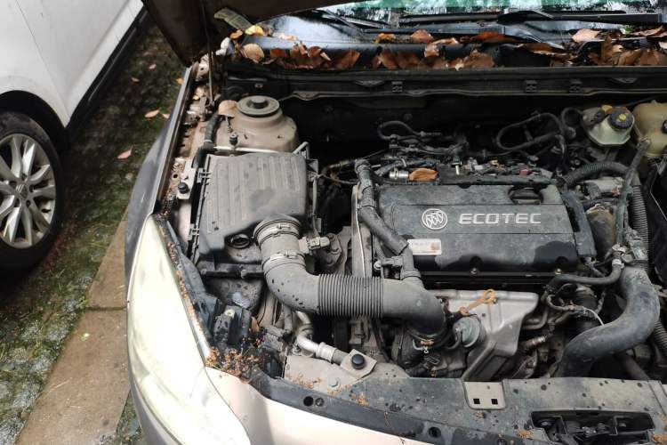 Used Buick Regal 2013 1.6T Automatic Elite Sport Edition Engine Bay Right