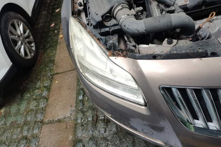 Used Buick Regal 2013 1.6T Automatic Elite Sport Edition Right Front Headlight