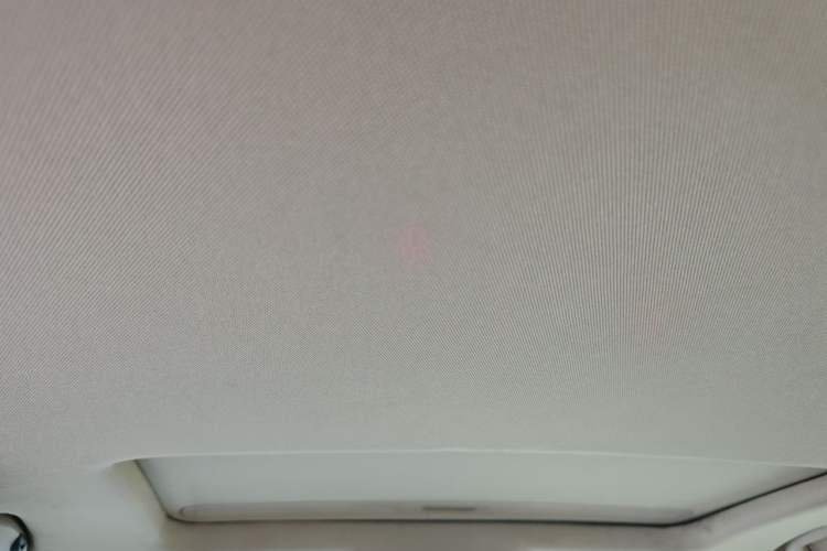 Used Buick Regal 2014 2.0L Elite Fashion Edition Headliner