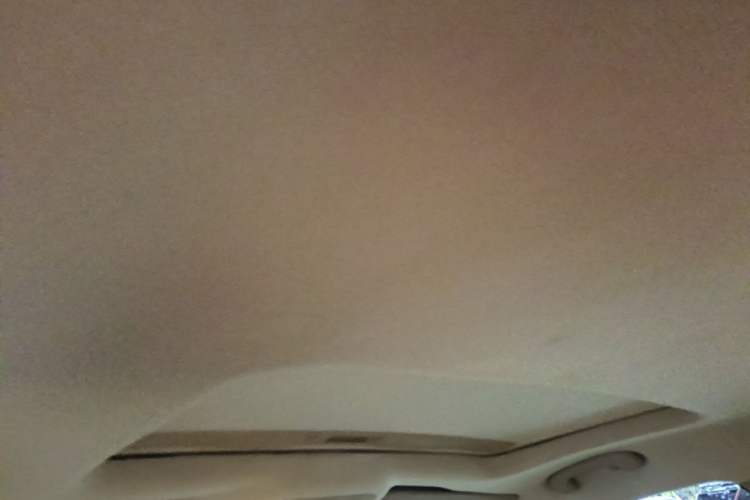 Used Buick Regal 2014 2.0L Elite Fashion Edition Headliner
