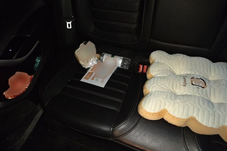 Used Buick Regal 2014 1.6T Fashionable Tech Edition Left Rear Seat