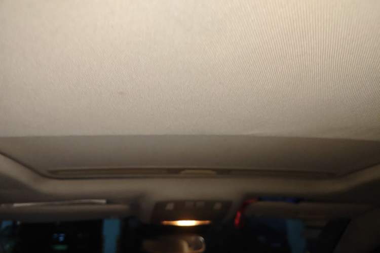 Used Buick Regal 2014 2.0L Elite Fashion Edition Headliner