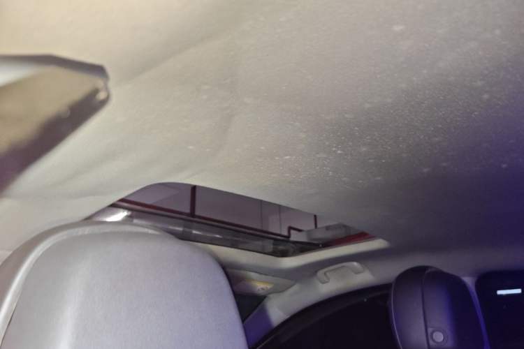 Used Buick Regal 2014 GS 2.0T Passionate Sport Edition Headliner