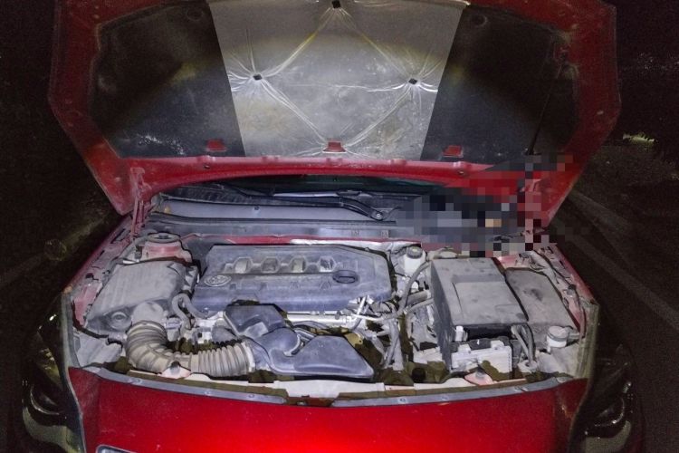 Used Buick Regal 2014 2.0L Leading Fashion Edition Engine Bay
