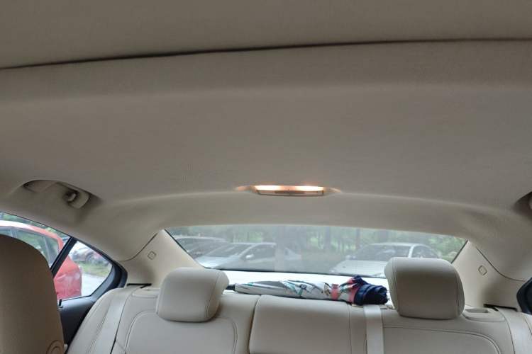 Used Buick Regal 2014 2.0L Leading Fashion Edition Headliner