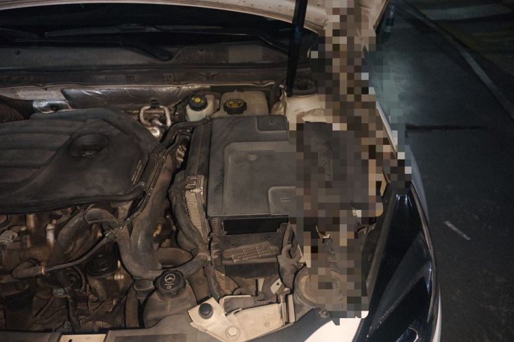 Used Buick Regal 2014 GS 2.0T Grand Sport Edition Engine Bay Left