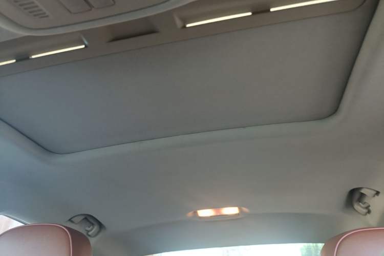 Used Buick Regal 2014 2.0L Leading Fashion Edition Headliner